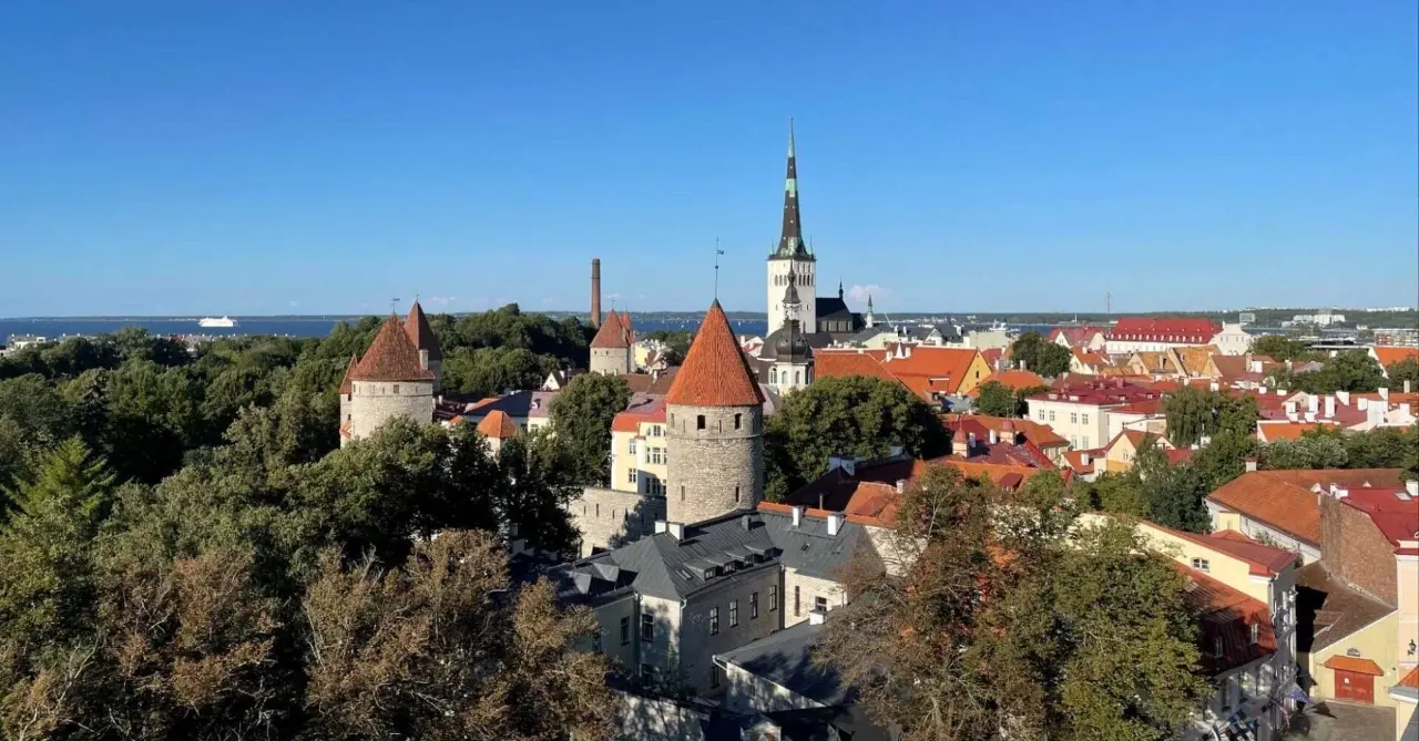 【エストニア留学】森と湖とデジタルの国で”起業家研究”はいかが?